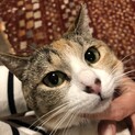里親様決定いたしました