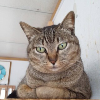 ありがとうございました꙳★*ﾟ可愛いクウタン
