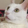 ゆりutssky
