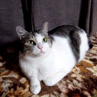 良いご縁がありました！