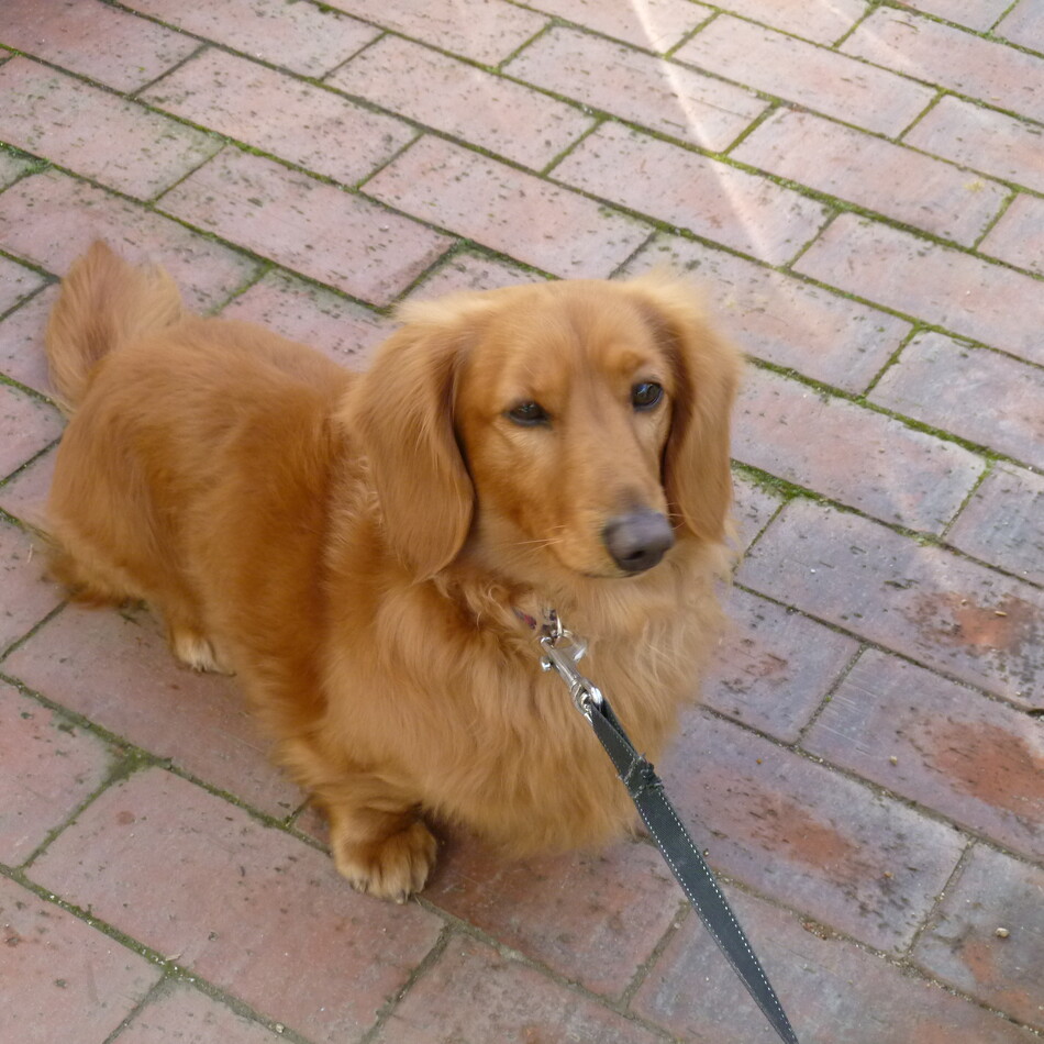 小林正子のカバー写真