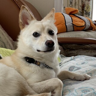 初めての家族が出来ました。