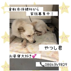 「GW明けの倉敷市保健所→全頭卒業！」サムネイル3