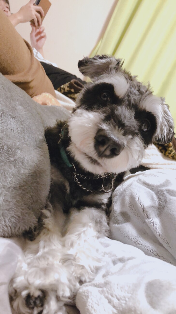 バロン