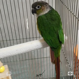 たくさんのご応募ありがとうございました！！