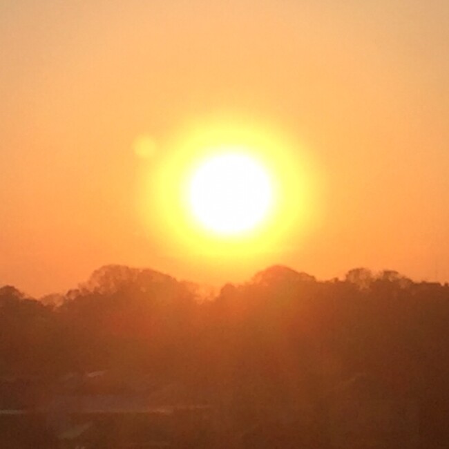 Greentaraのカバー写真