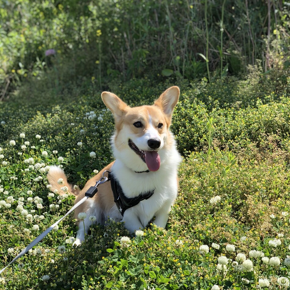 ポルトのカバー写真