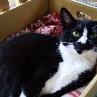 ありがとうございました★甘えん坊マカロンちゃん