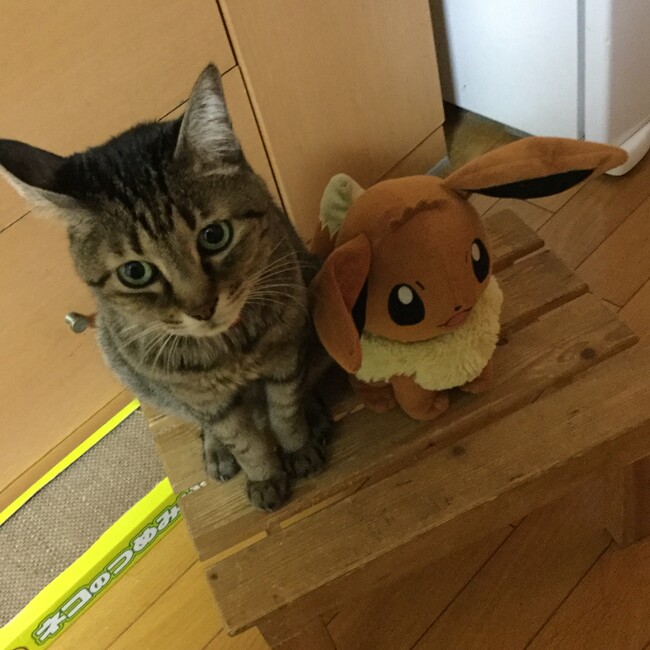 ふくともぞうのカバー写真