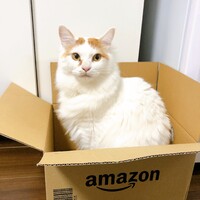 ちくわ