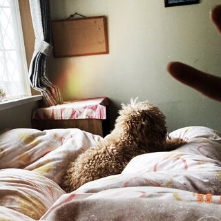 家族が見つかりました