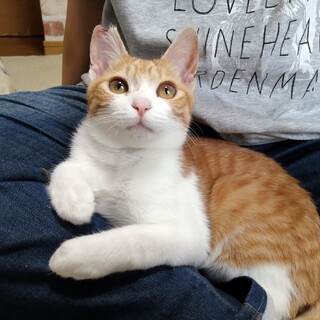 トライアル決まりました！ティノくん