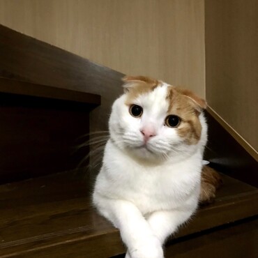 で、ぼkw