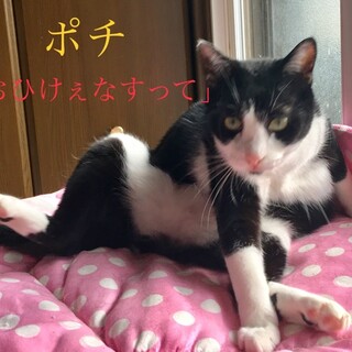 新しいおうちが決定しました