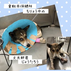 「この子たちを助けたくて・・→全頭卒業！」サムネイル2