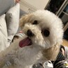 お久しぶりのミルクの兄弟、なぎちゃん‼︎