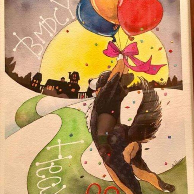 公式八ヶ岳バーニーズマウンテンドッグクラブレスキュのカバー写真