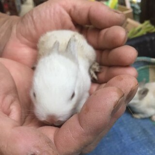 たくさんのご応募ありがとうございました