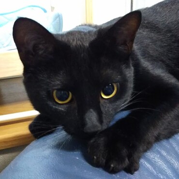 暴れている途中