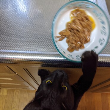 つまみ食いの瞬間