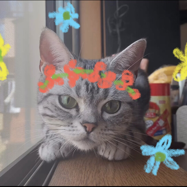 erk0715のカバー写真