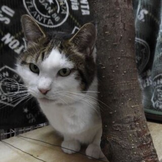 マシュマロボディで可愛いボクだよぉ～ん