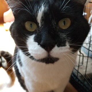 ◎愛されキャラの大きな男の子