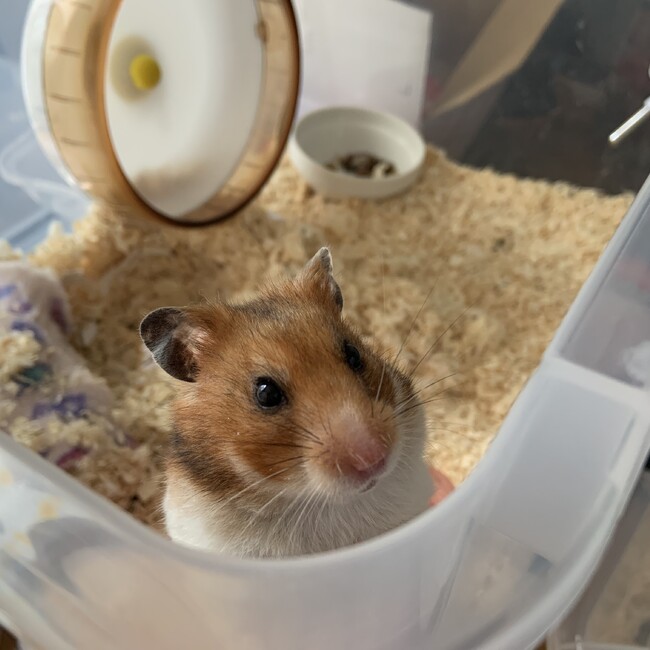yuccochanのカバー写真