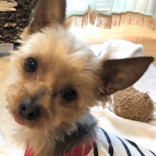 幸せになりました。ありがとうございました。