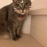 むぅあ