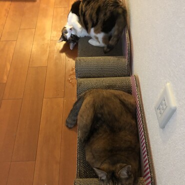 の写真