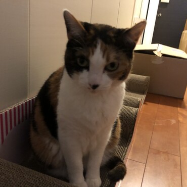 の写真