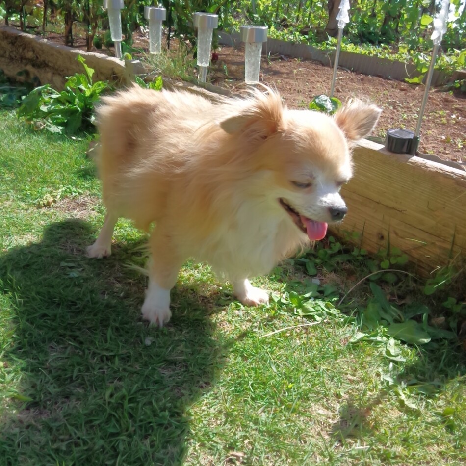 なっつのカバー写真