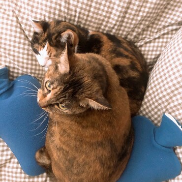 の写真