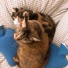 の写真