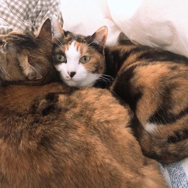 の写真