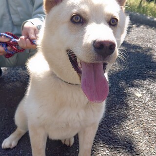 【助けてください】とてもフレンドリーな男の子