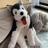 ふじもとこつぶ