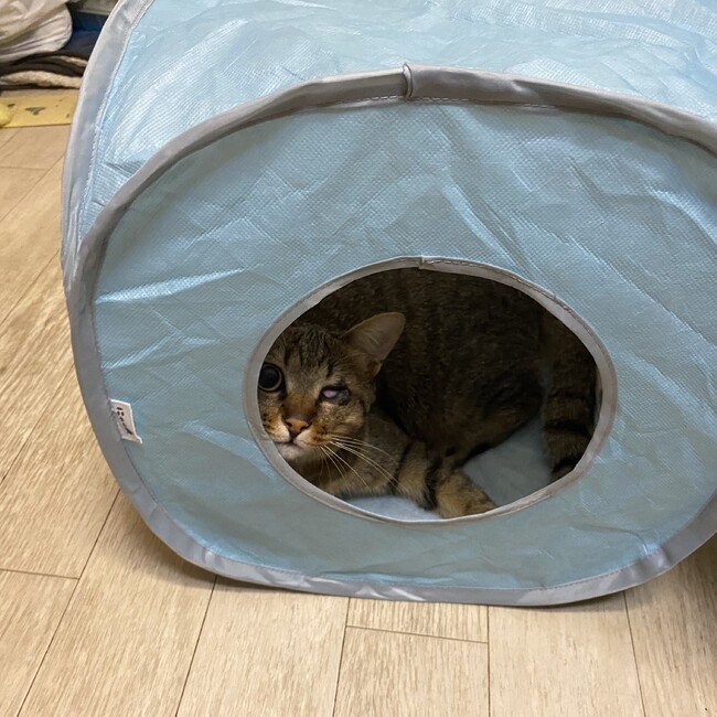 なお0616のカバー写真