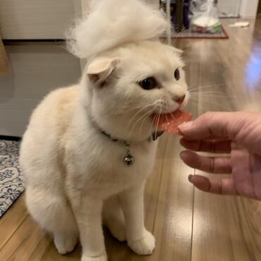 ふぁーみねーたー❤️