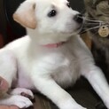ほのかchan❤️２か月
