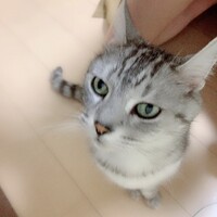 キング