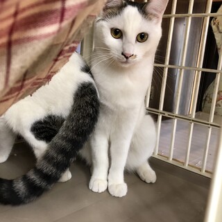 個性的な髪型のなつめちゃん