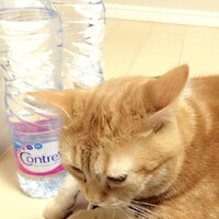ティナ