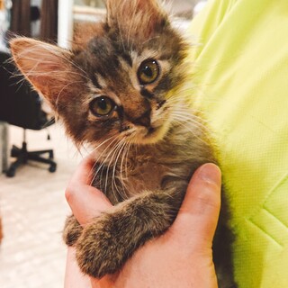 お家決まりました♪   イケメン♪タピ君。