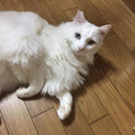 久留米市/白