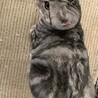 の写真