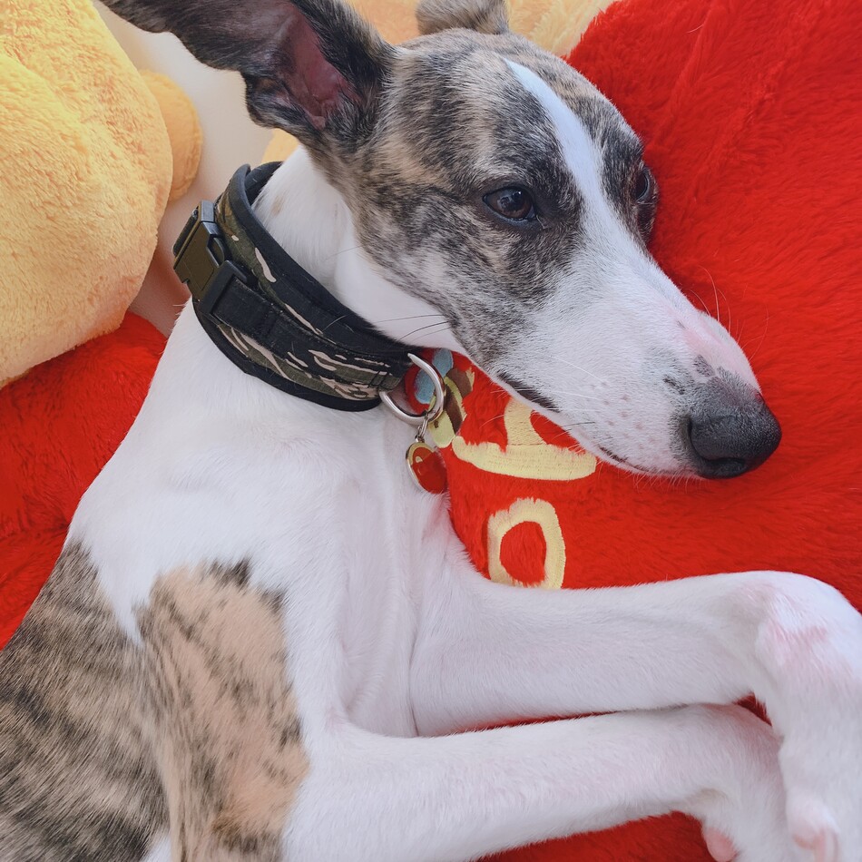 じんのカバー写真
