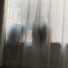 なおりんです！