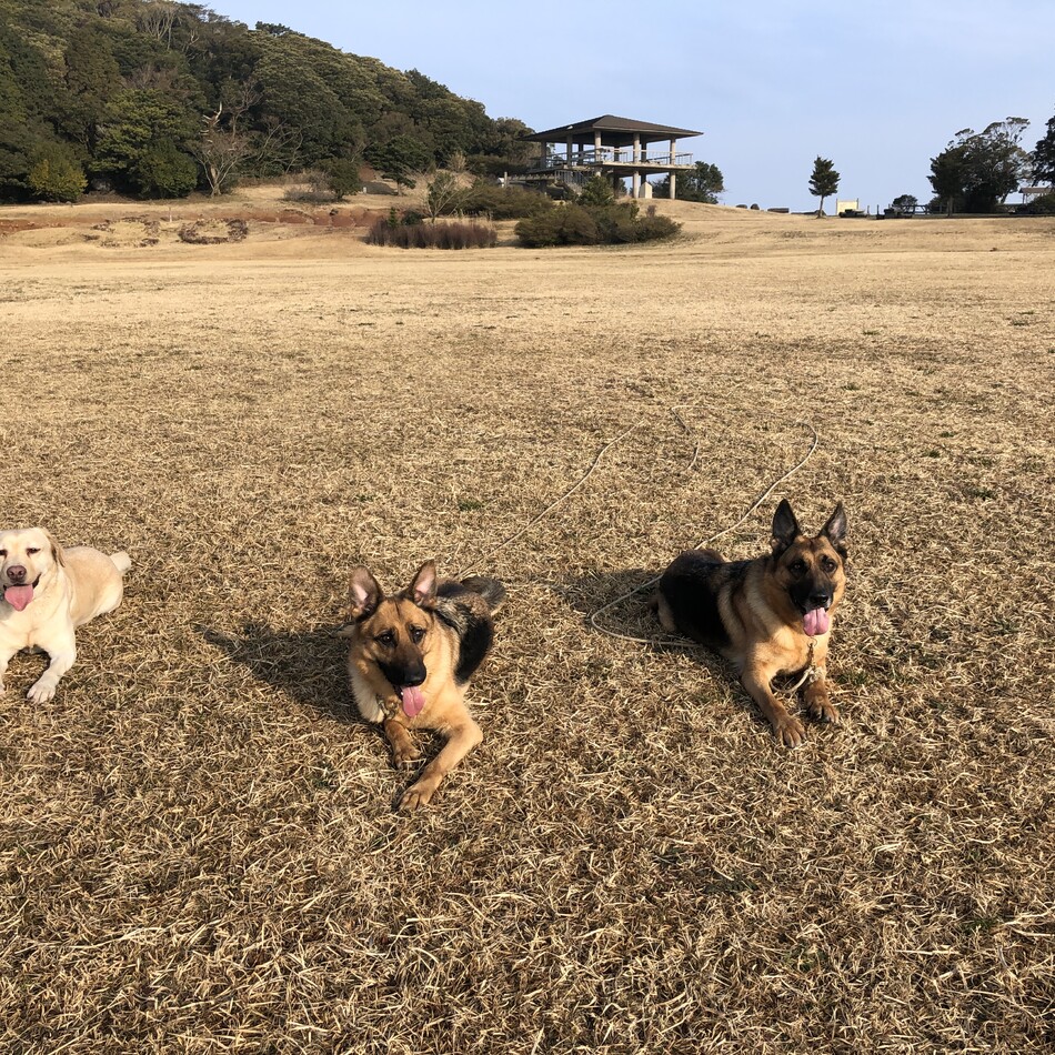 アランのカバー写真